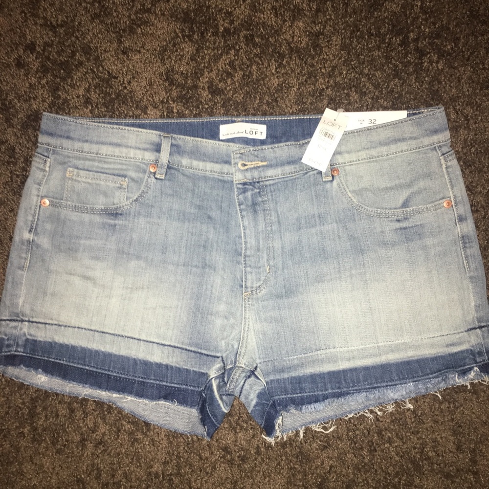 Loft shorts